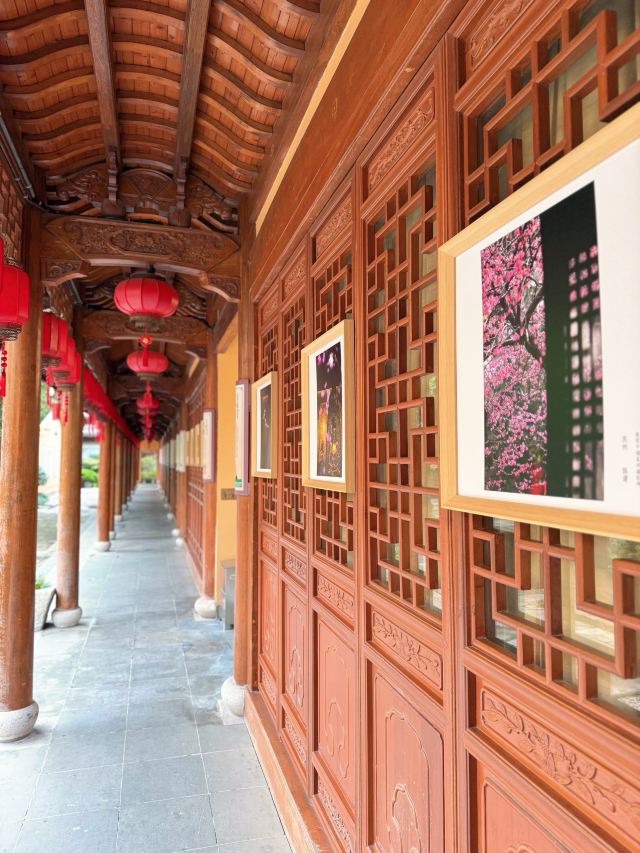 湖州铁佛寺旅行图片 2