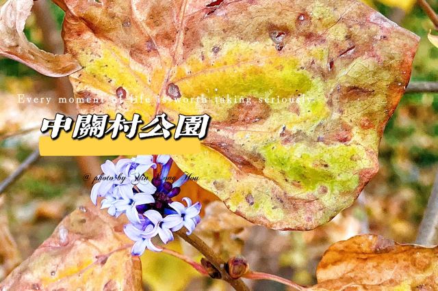 中关村公园旅行图片 1