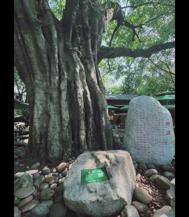 鹅岭公园旅行图片 3