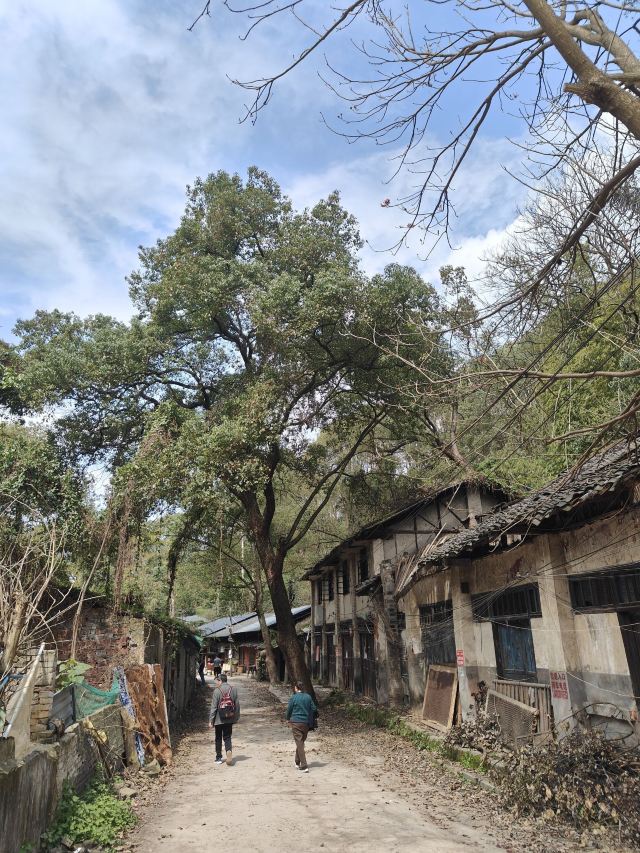 重庆张飞古道游玩攻略简介,重庆张飞古道门票/地址/图片/开放时间/照片/门票价格【携程攻略】