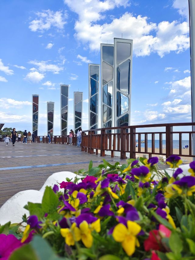 老虎石海上公园旅行图片 1