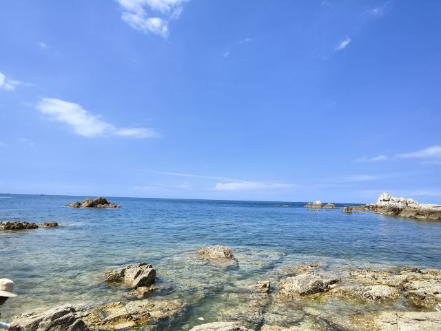 养马岛林间花海旅行图片 2