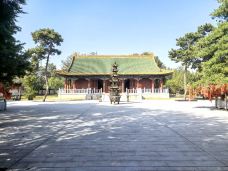 敕建三义宫-涿州-老虎........