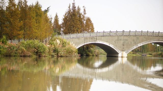 三垟湿地保护区旅行图片 1