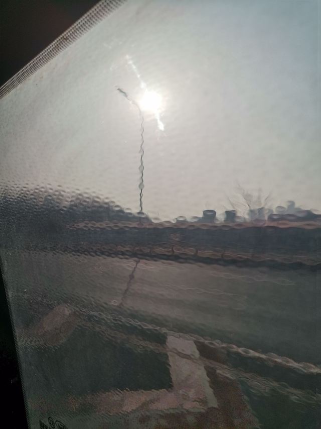 府河郊野公园旅行图片 1