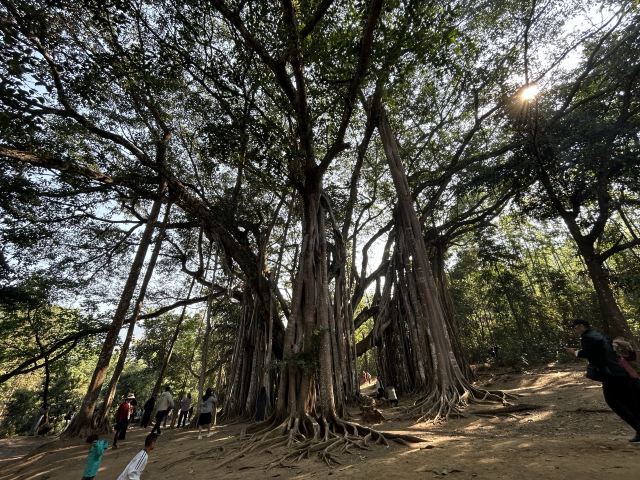 勐巴娜西珍奇园旅行图片 2