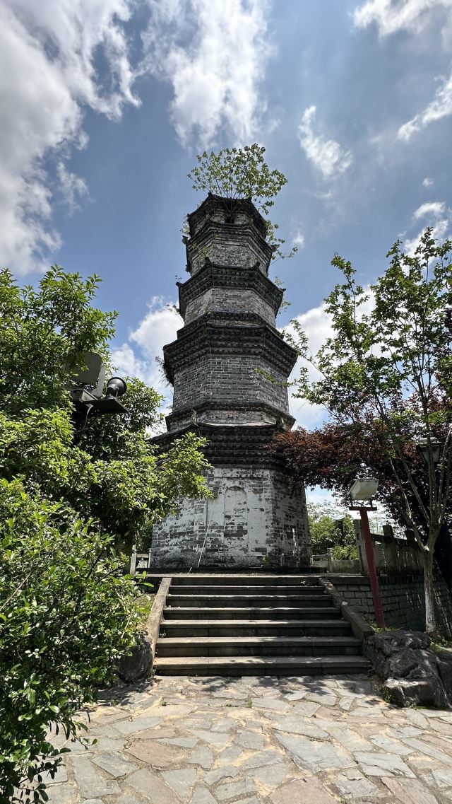 双塔公园旅行图片 4