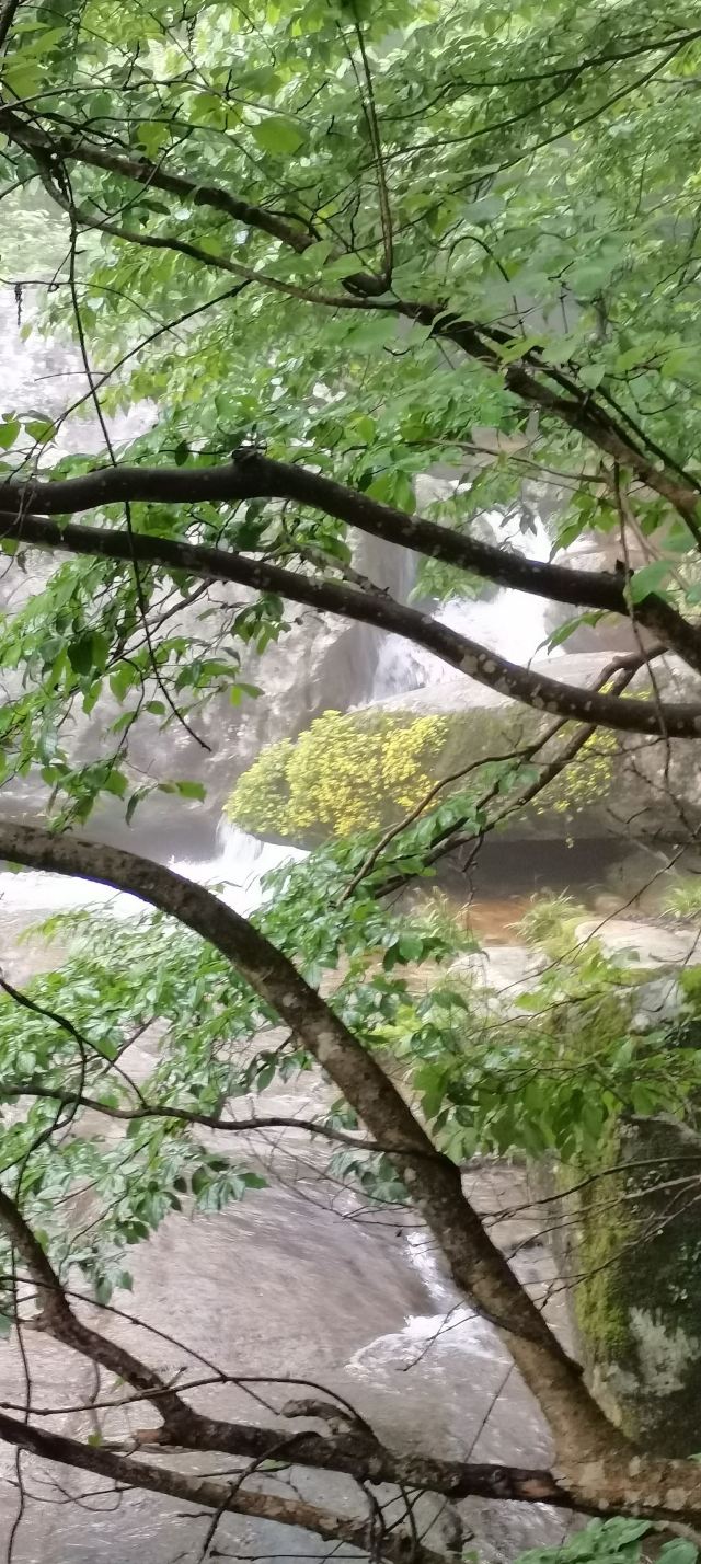 马鬃岭景区旅行图片 2