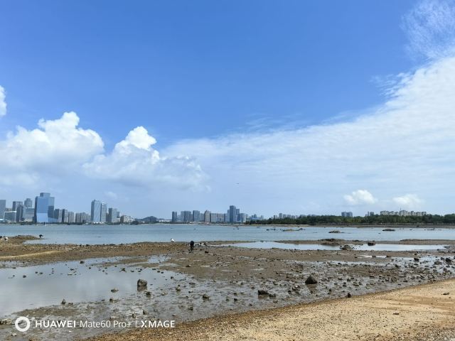 唐岛湾滨海公园-观景台旅行图片 2