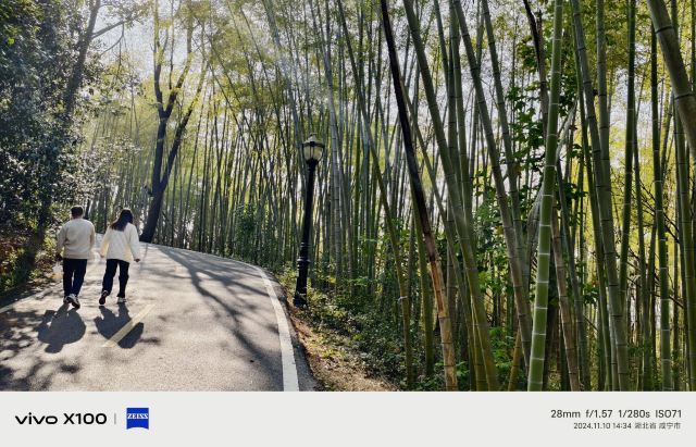潜山国家森林公园旅行图片 10