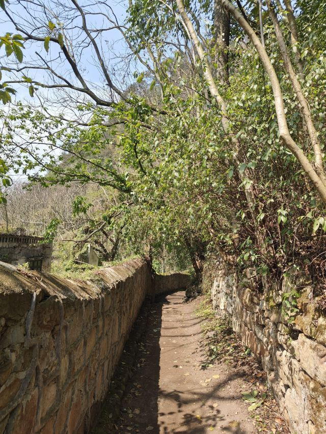 重庆张飞古道游玩攻略简介,重庆张飞古道门票/地址/图片/开放时间/照片/门票价格【携程攻略】