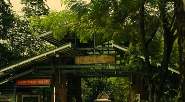 景迈千年万亩古茶园旅行图片 8