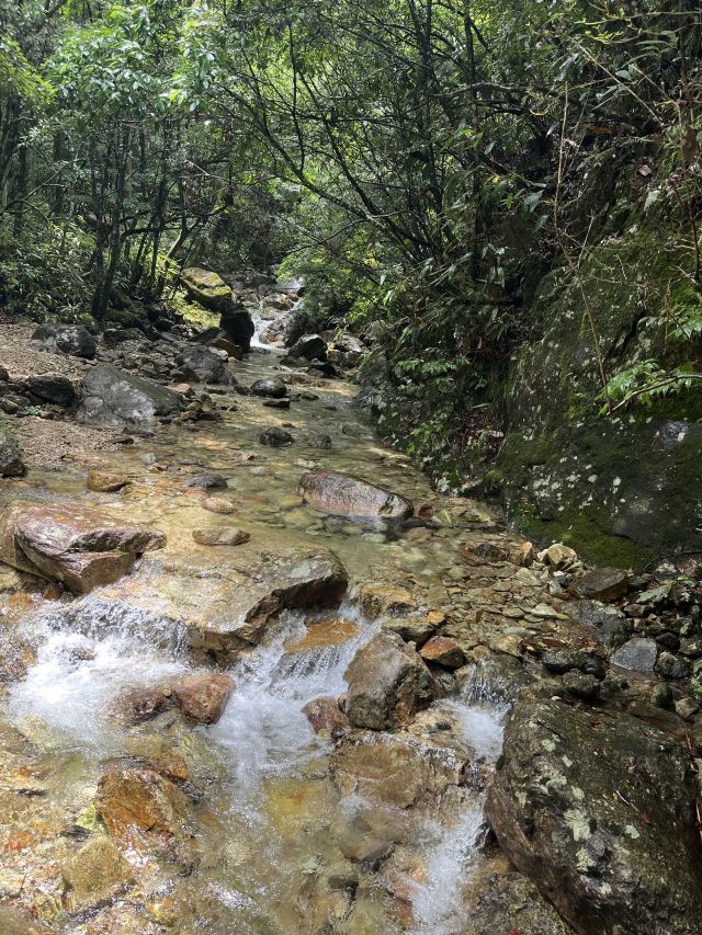 箬寮原始森林旅行图片 4