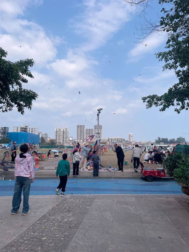 滨海公园旅行图片 4
