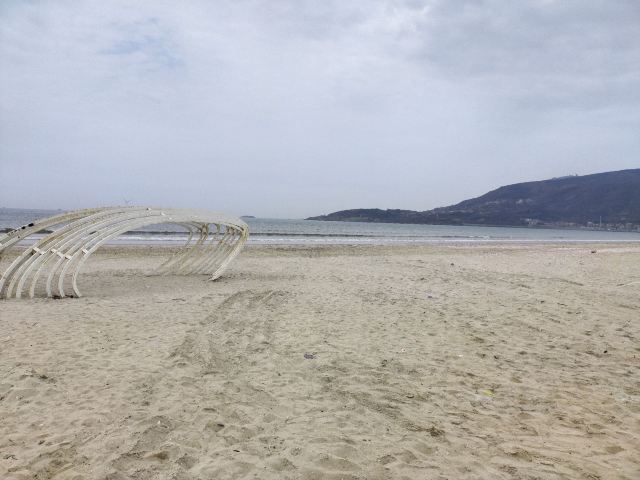 蓝眼泪观景点(长江澳海滩)旅行图片 5