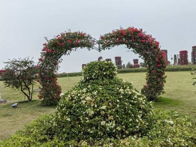 马銮湾环湾带状公园旅行图片 7