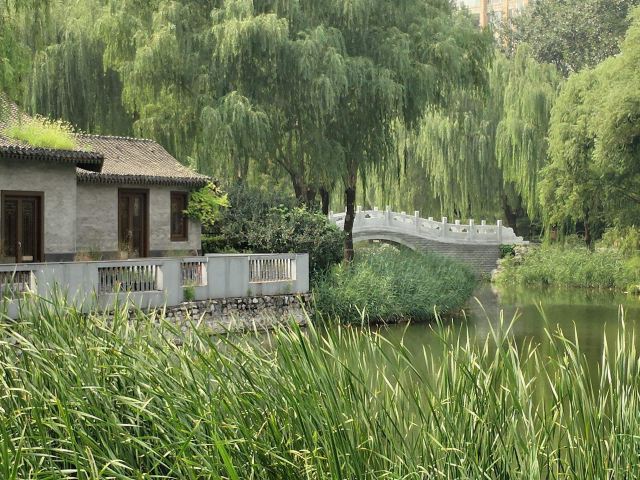 柳荫公园旅行图片 4