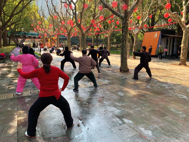 徐家汇公园旅行图片 4