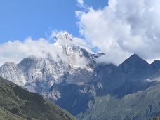 猫鼻梁-小金-会飞的鱼zzt