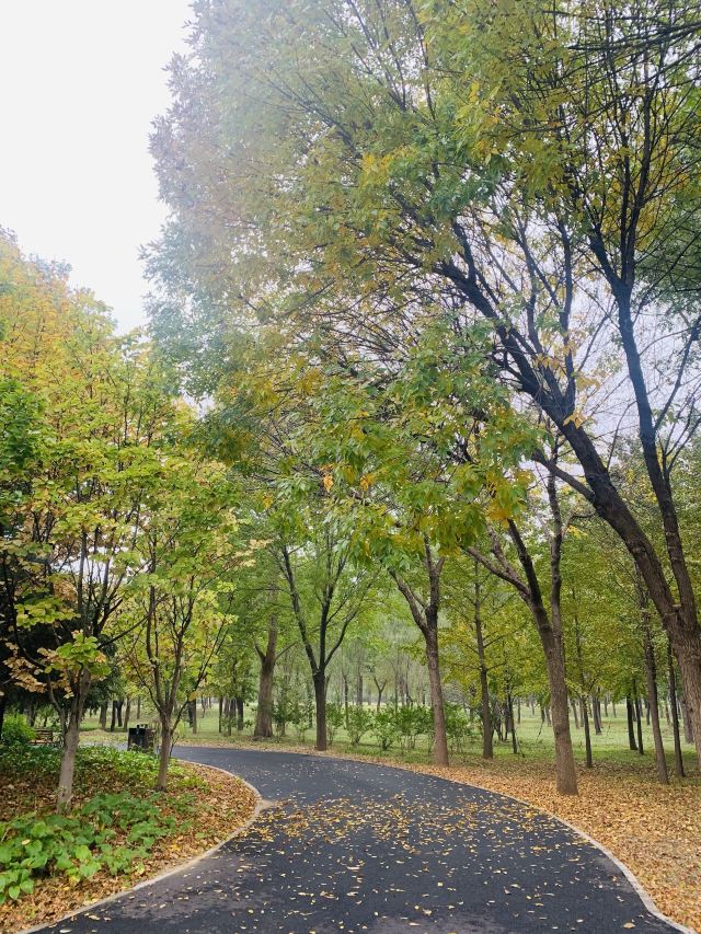 东坝公园旅行图片 4