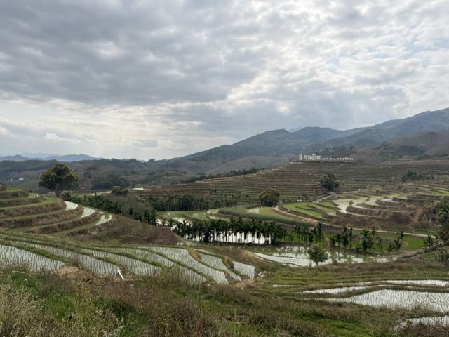 牙胡梯田景区旅行图片 2
