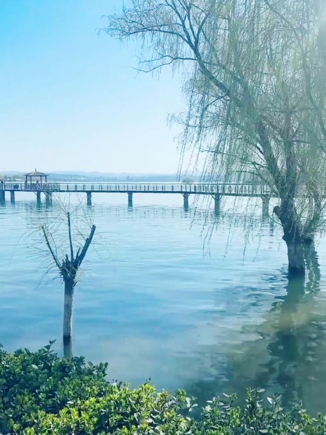 溢泉湖文化公园旅行图片 3