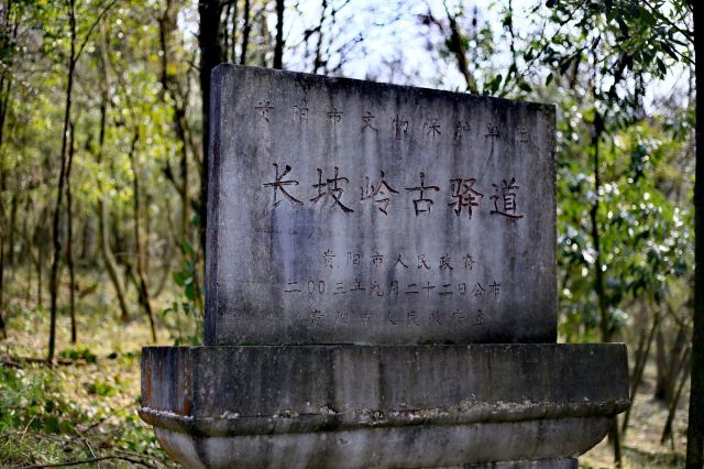 长坡岭国家森林公园旅行图片 1