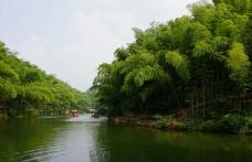 佛宝国家森林公园-合江-率土之滨2869