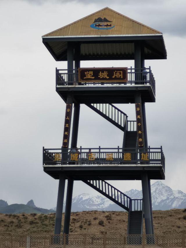 夏日塔拉草原旅行图片 2