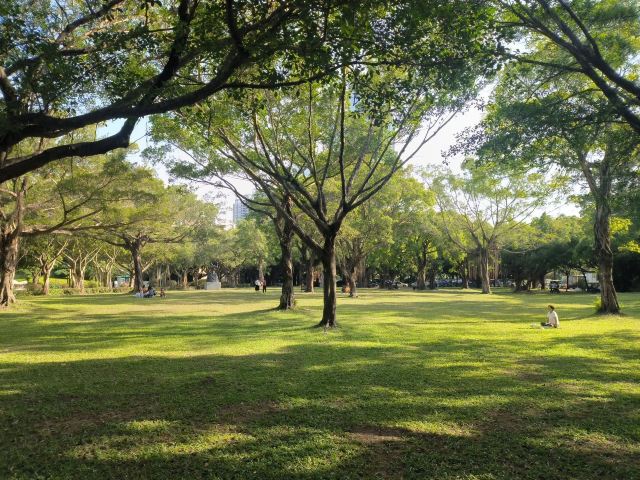莲花山公园旅行图片 14