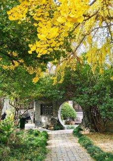 琼花观(文昌中路)-扬州-张毓轩