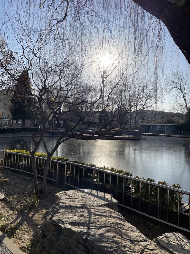 陶然亭旅行图片 2