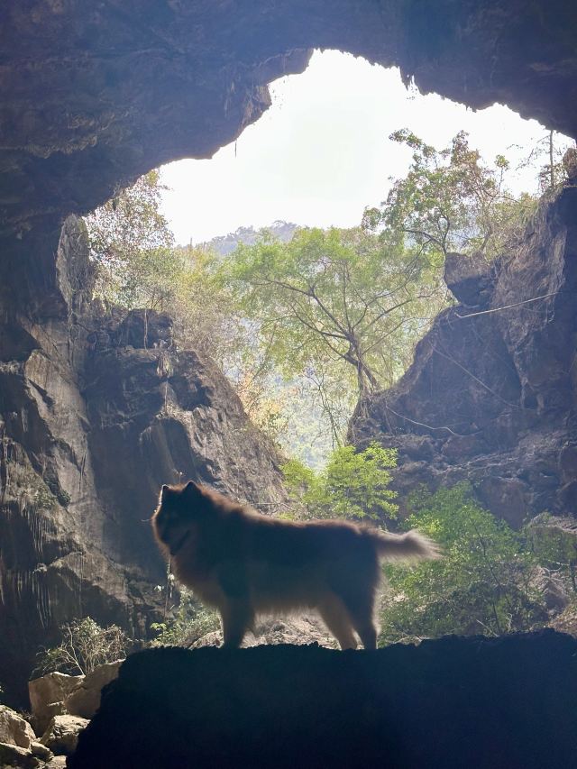弄响天坑旅行图片 3