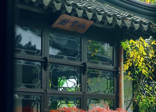 畅园旅行图片 1