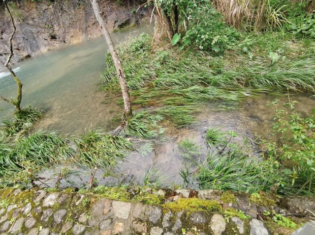 龙泉白云岩旅行图片 4