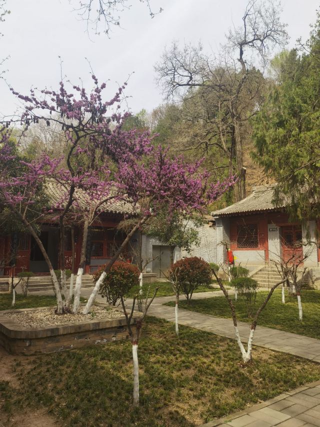 杜甫纪念馆旅行图片 3