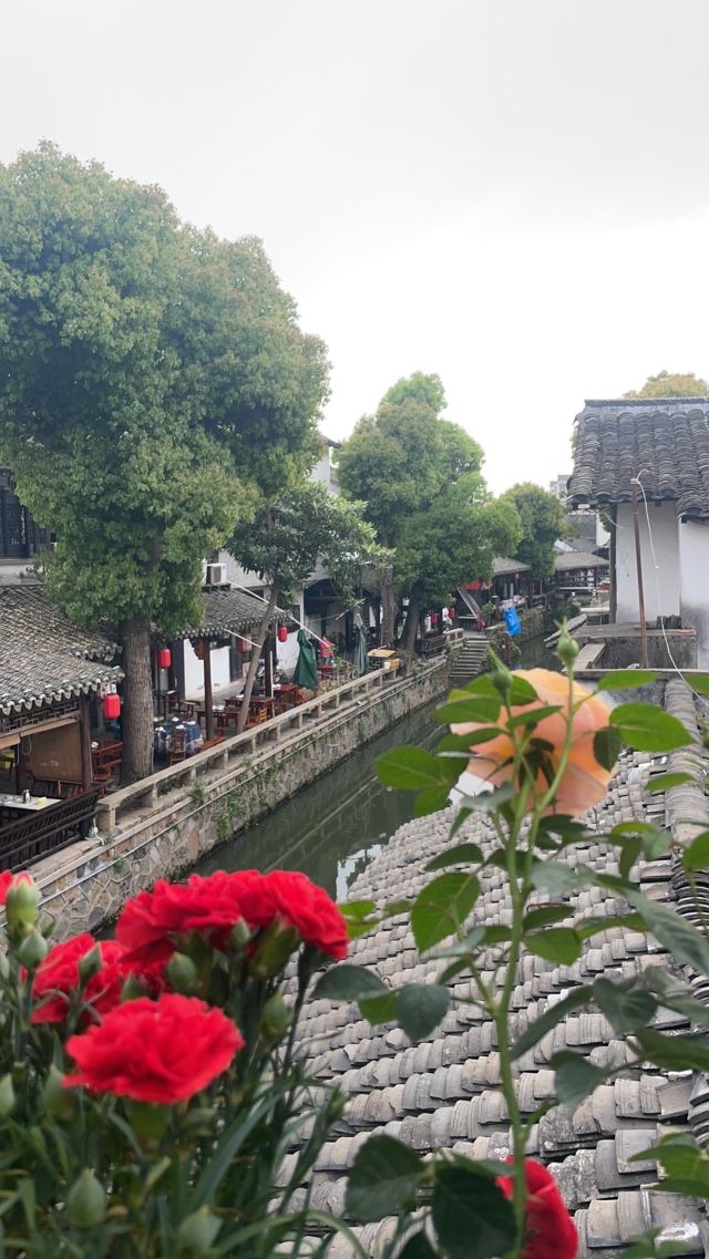 新场古镇旅行图片 6