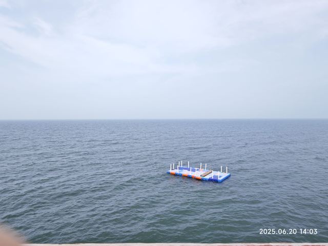 烟台金沙滩海滨公园-观景台旅行图片 5