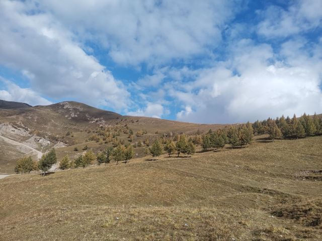 海河公园旅行图片 2