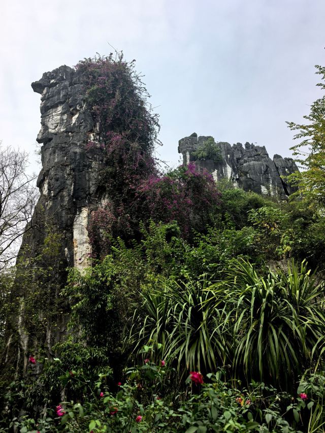 七星景区旅行图片 1