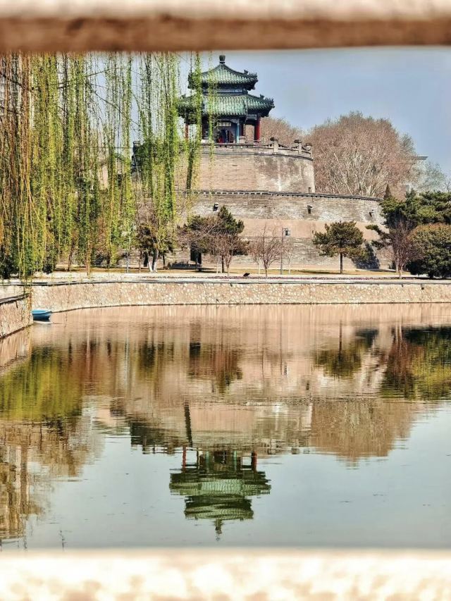 丛台公园旅行图片 4