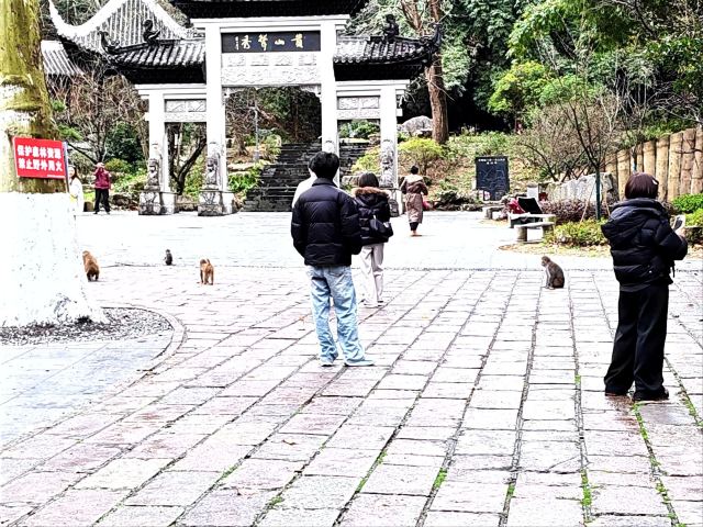 黔灵山公园旅行图片 1