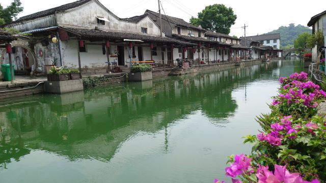 西小路历史街区旅行图片 1