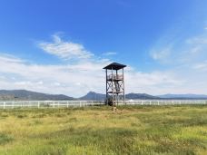 敕勒川草原-呼和浩特-爱玩的小可爱zy