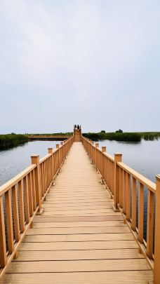 白洋淀风景区-安新-黄海大智若愚