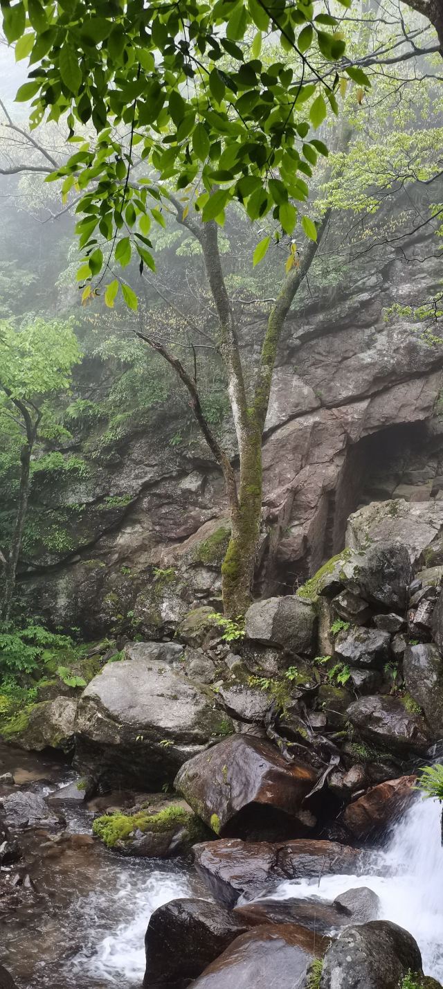 马鬃岭景区旅行图片 3