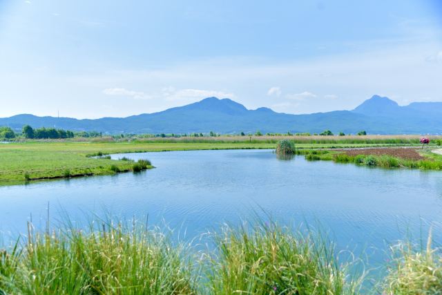 候鸟湾湿地旅行图片 3