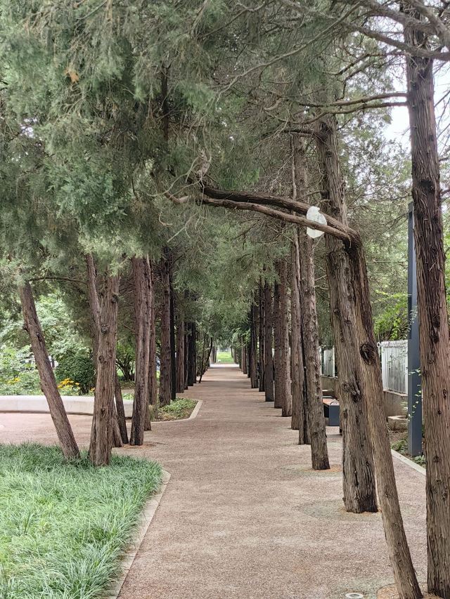 丽都花园旅行图片 8