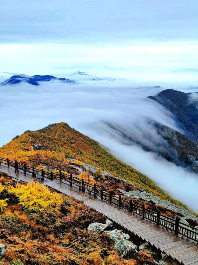 秦岭风景区旅行图片 1