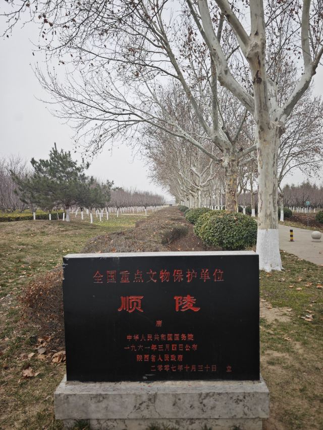 唐顺陵-遗址公园旅行图片 11
